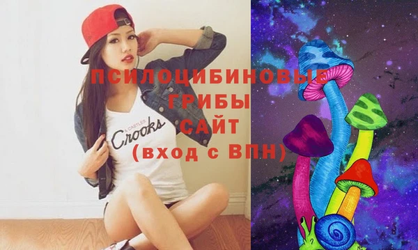 твердый Верея