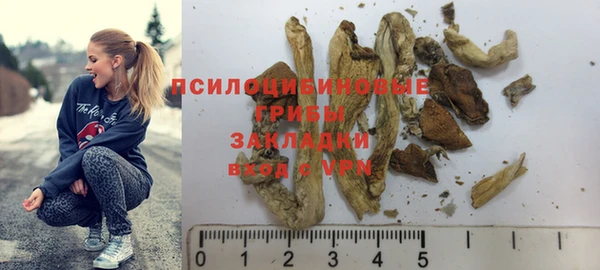 МДПВ Михайловск