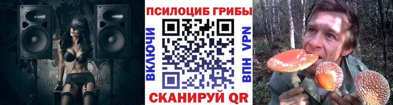 ОМГ ОМГ сайт дарнет шоп Вилючинск Галлюциногенные грибы ЛСД