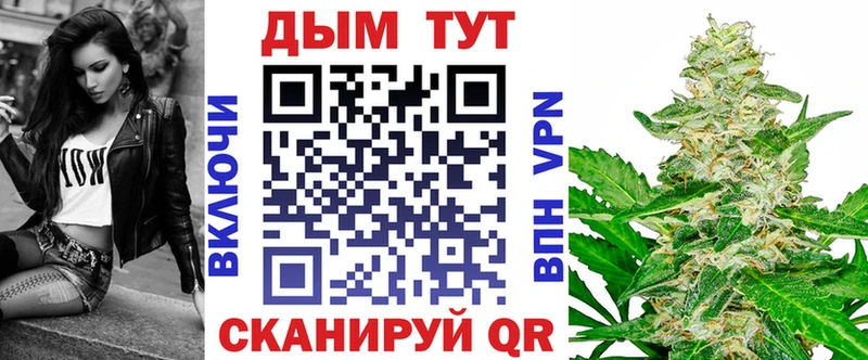 Конопля план  купить наркотик  OMG ONION  Вилючинск 
